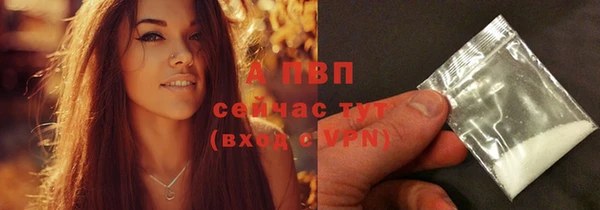 соль ск Алексин